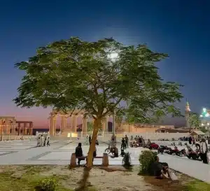 Wieczorny spracer po Luksorze nad Nilem organizowany przez Wycieczki Hurghada.